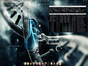 Gnome Gentoo Linux